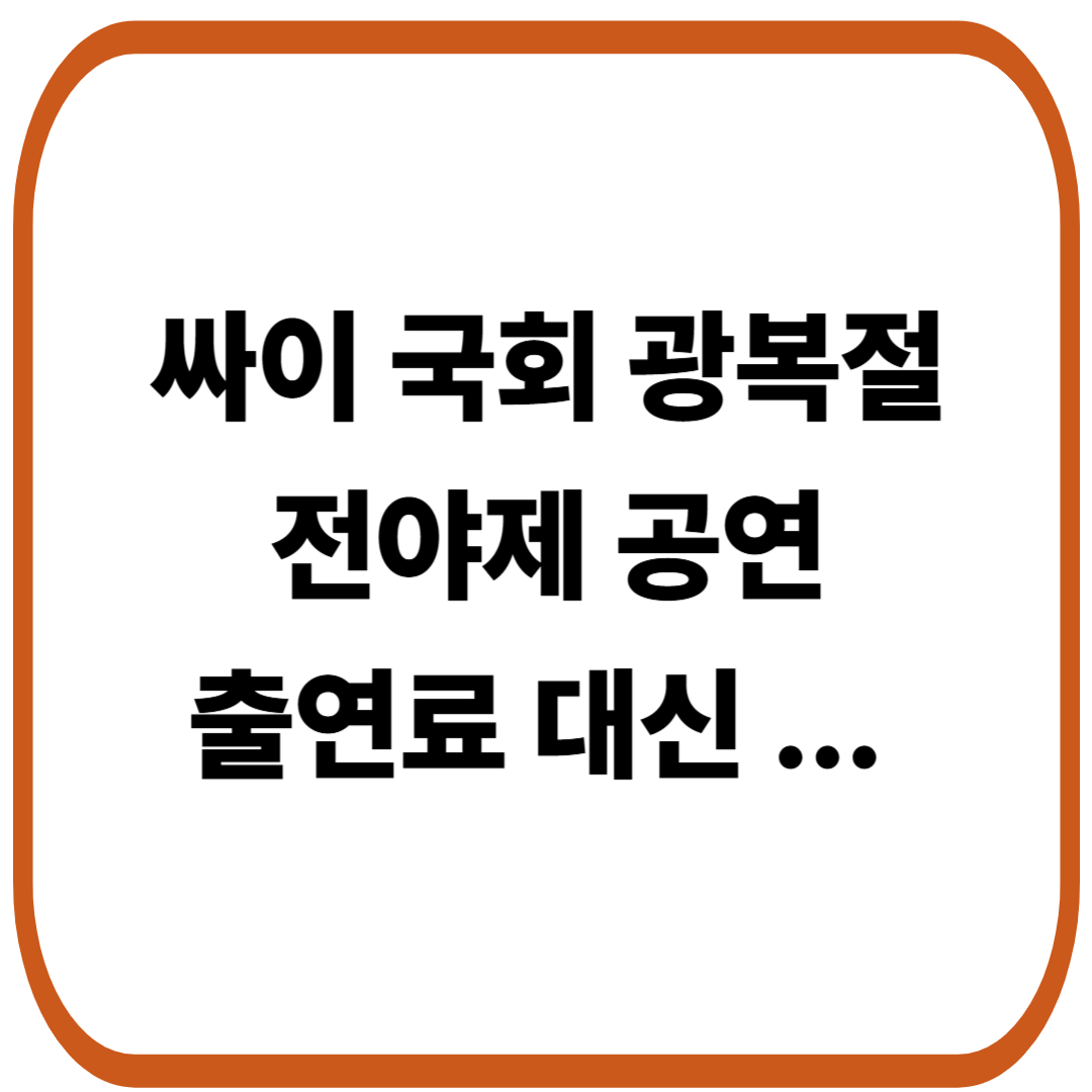 싸이 국회 광복절 전야제 공연