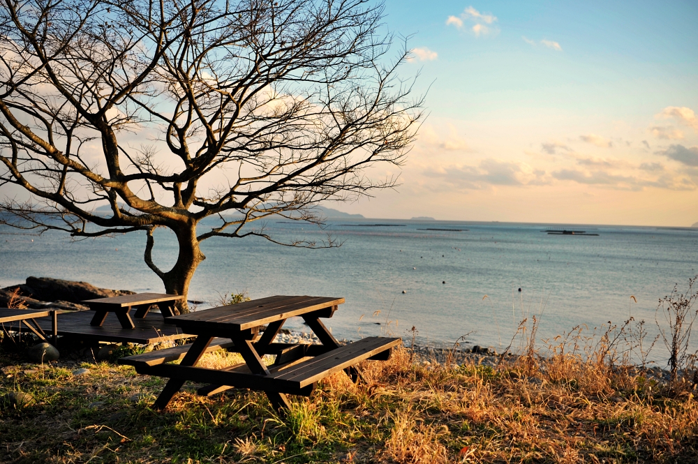 12월 넷째주 마지막주 대표기도문