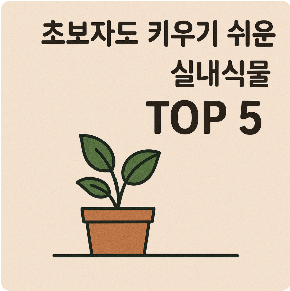실내에서 초보자도 잘 기를 수 있는 식물 5종