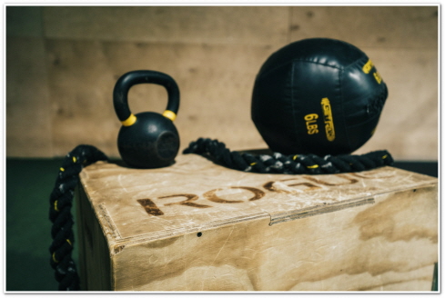 내장 지방 빼는 법