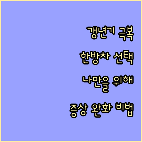 갱년기 증상 다스리기: 나만을 위한 ..
