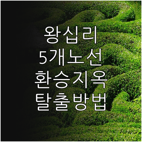 왕십리역 5개 노선 환승 동선과 노선..