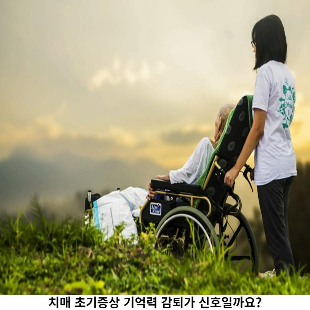 어떻게 대처해야 할까요?