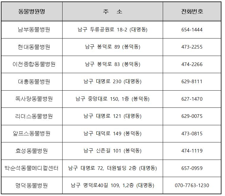 대구시광견병예방접종