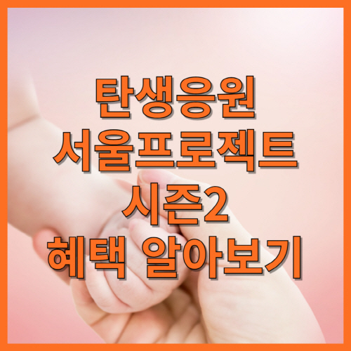 탄생응원_서울프로젝트_시즌2_혜택