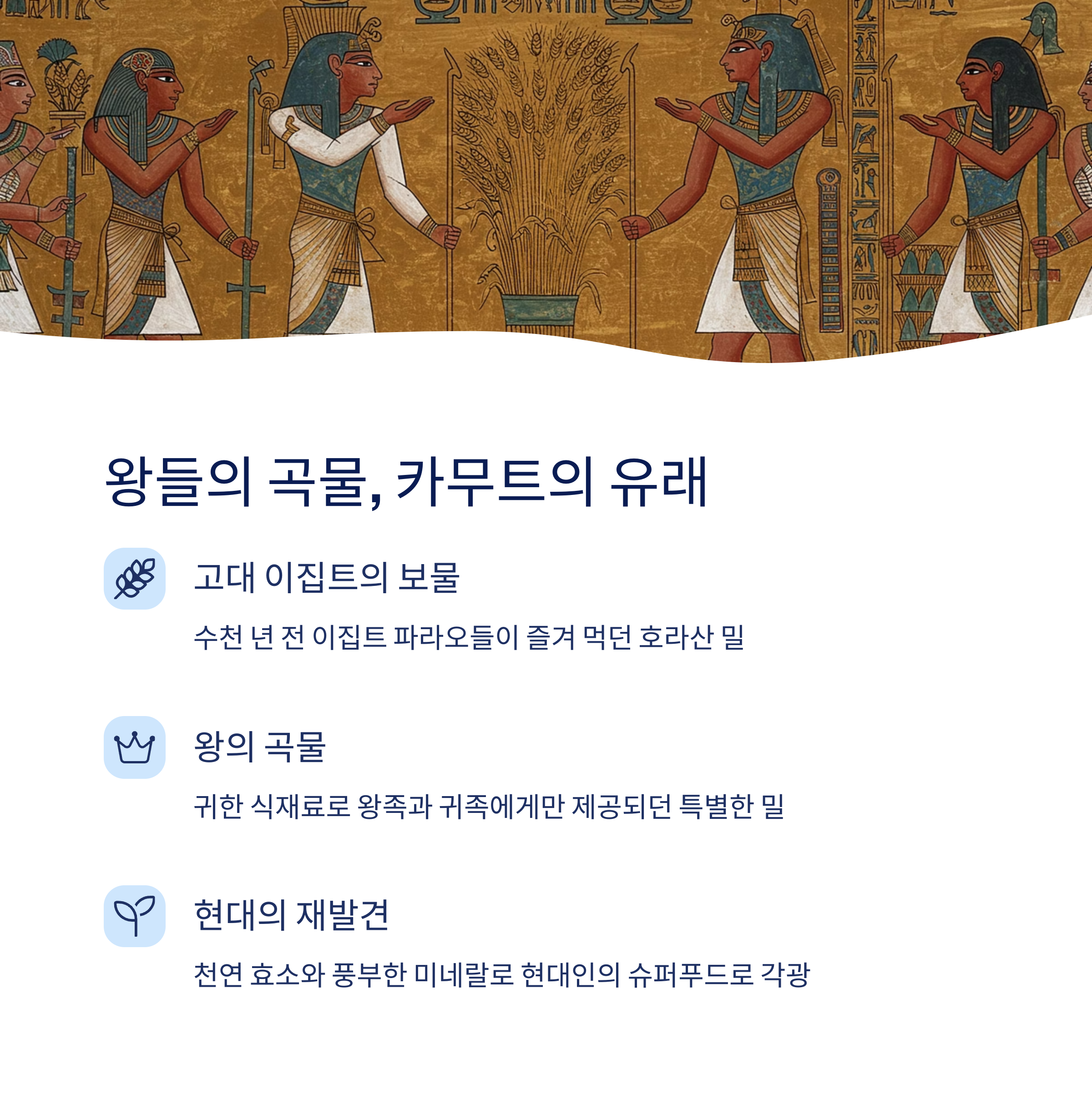 카무트 효소의 유래