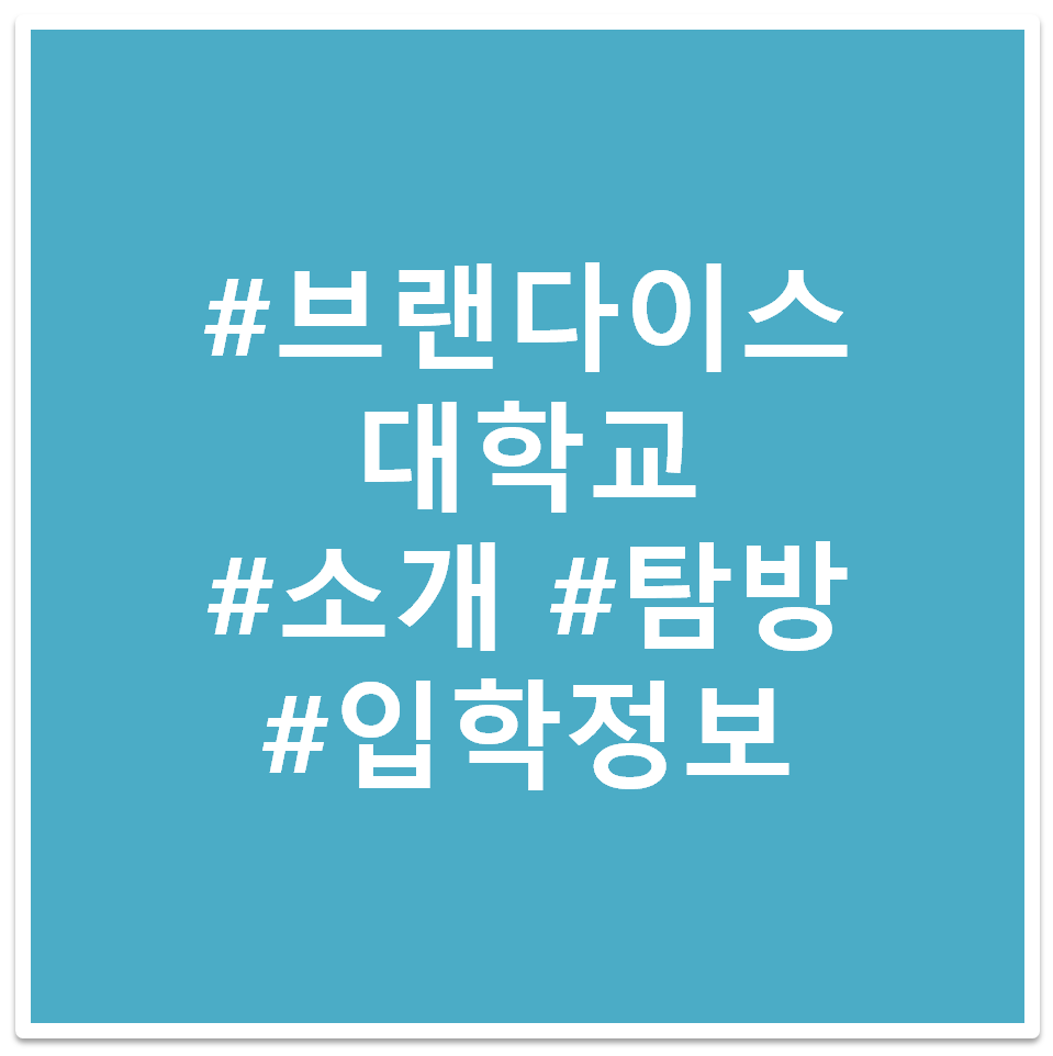 브랜다이스 대학교 태그 이미지