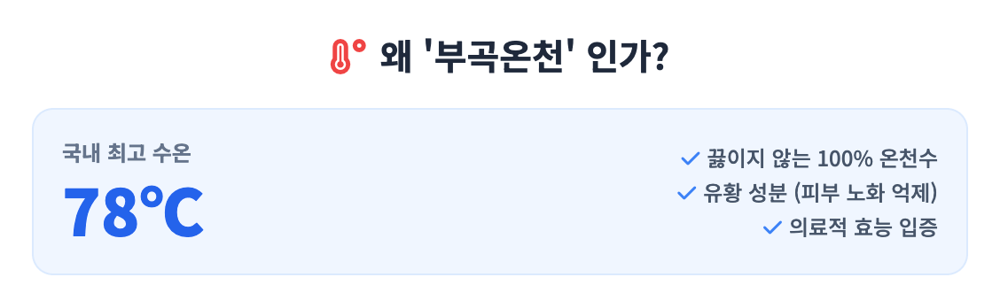 왜 부곡 온천인가? 인포그래픽