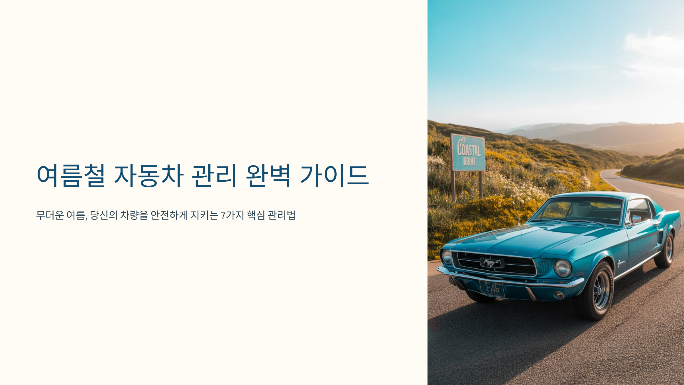 여름철 차 관리 필수 체크리스트