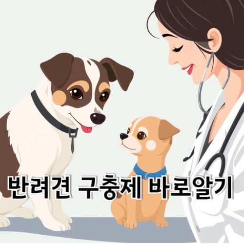반려견 구충제