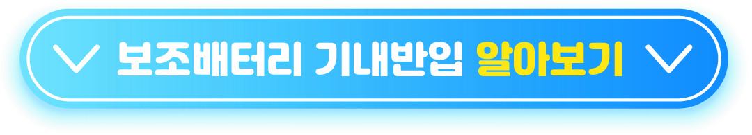 기내 반입 가능 물품