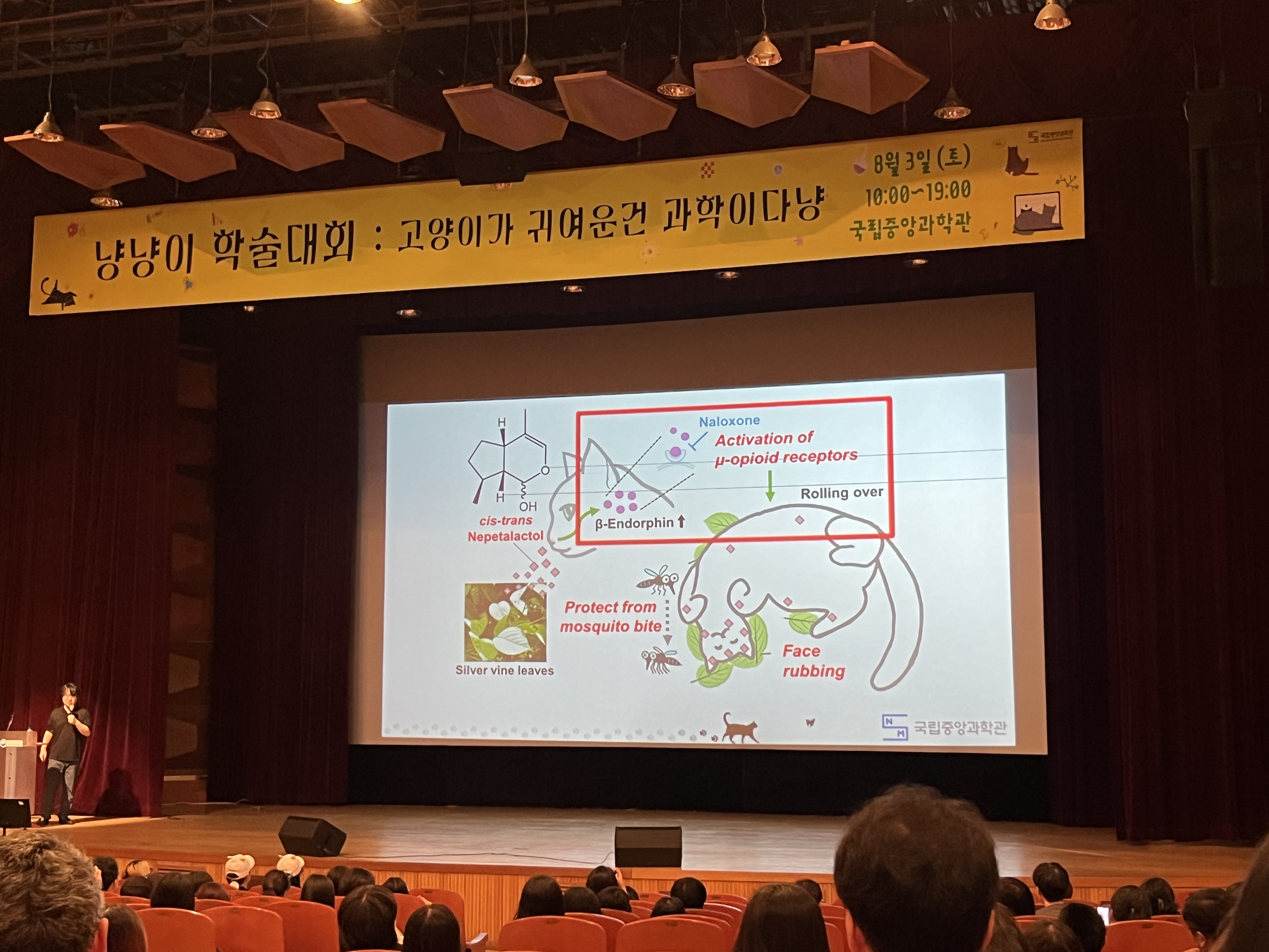 냥냥이학술대회