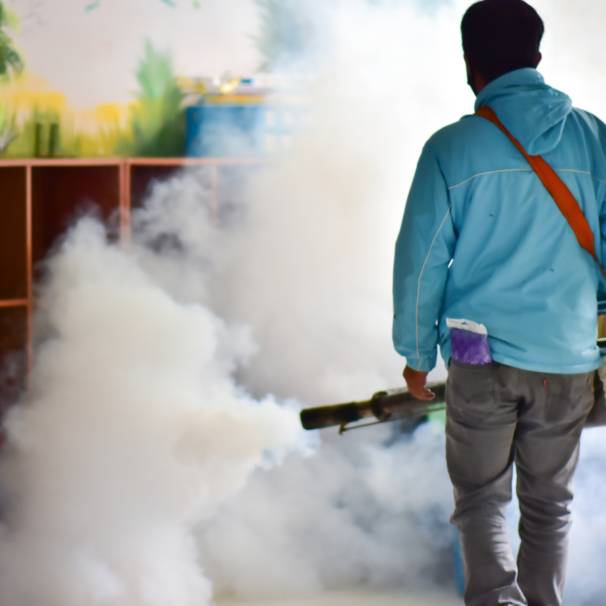 모기 퇴치 꿀팁_5