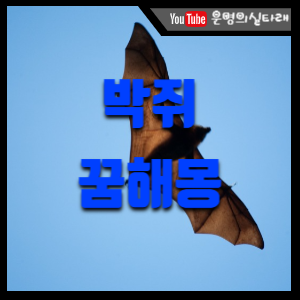 썸네일 사진