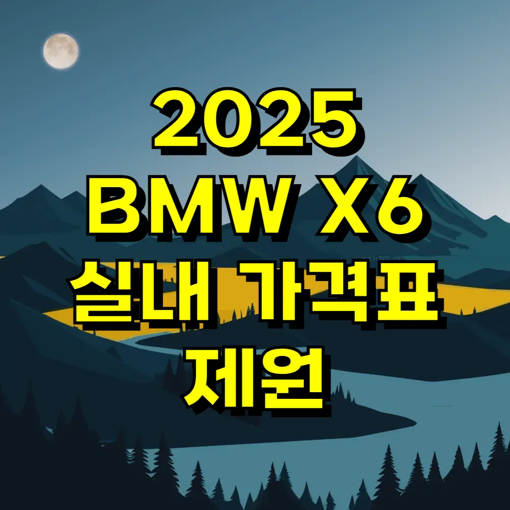 2025 BMW X6 실내 가격표 제원