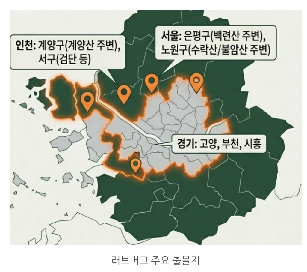 러브버그-출몰시기-지도-퇴치