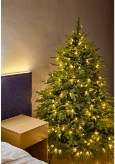 원터치 트리 추천 순위 TOP 5 - 네이버, 쿠팡 원터치 트리 검색 랭킹 1위 비교 분석