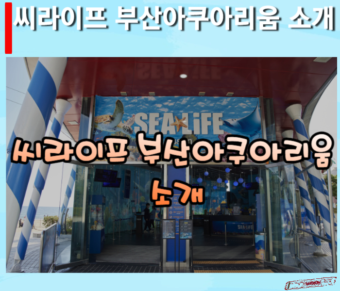 부산아쿠아리움-소개-썸네일