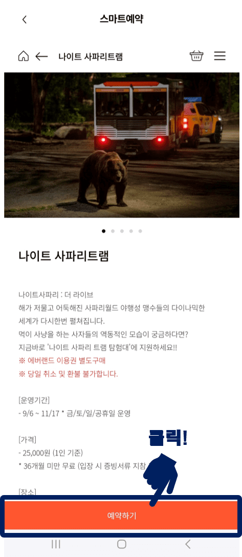 다섯 번째, 에버랜드 나이트 사파리 모바일 예약 방법