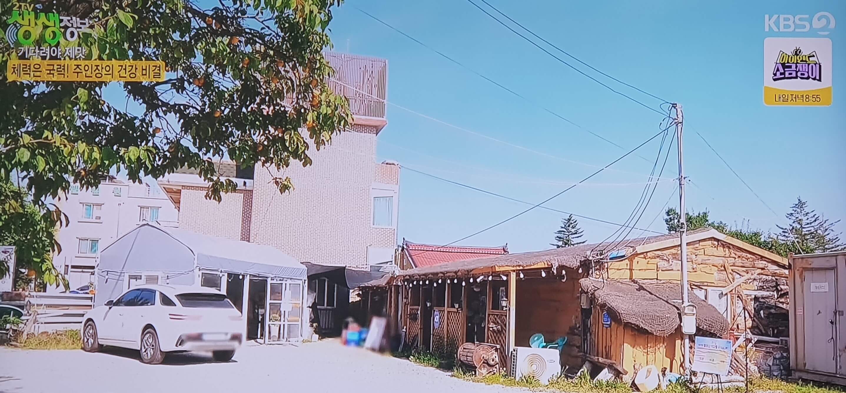 생생 정보통 맛집 식당 정보