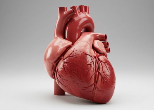 심장을 살리는 해독 음식들 (혈관청소, 항산화, 면역강화까지!)