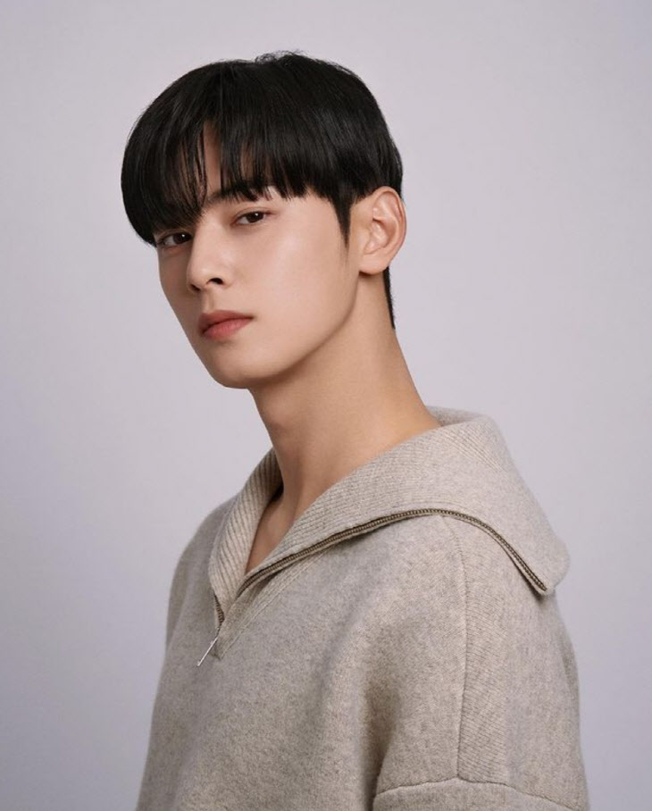 건장한 차은우