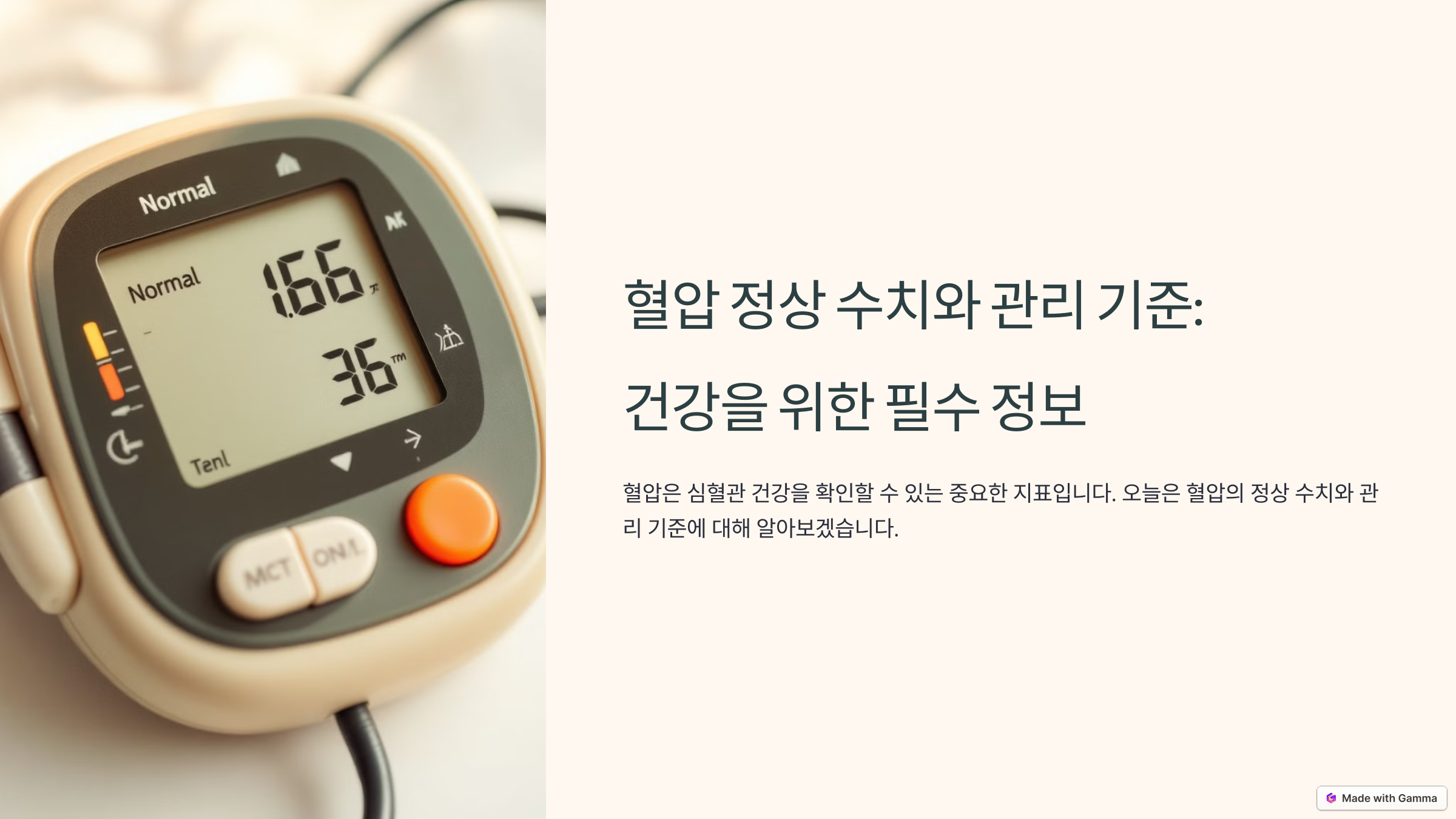 혈압 정상