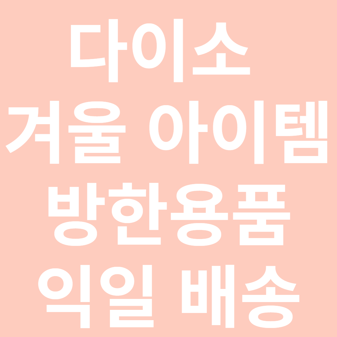 다이소 겨울템 방한용품 익일배송