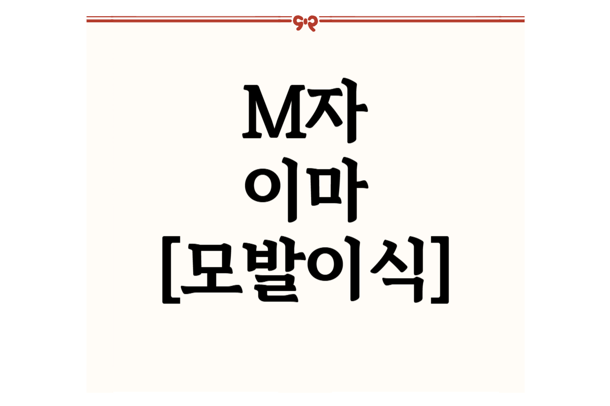 M자이마 모발이식