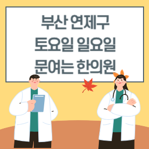 부산 연제구 토요일 일요일 한의원 진료 병원 리스트