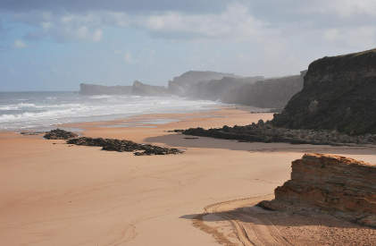 최초 생명체의 흔적을 찾아서