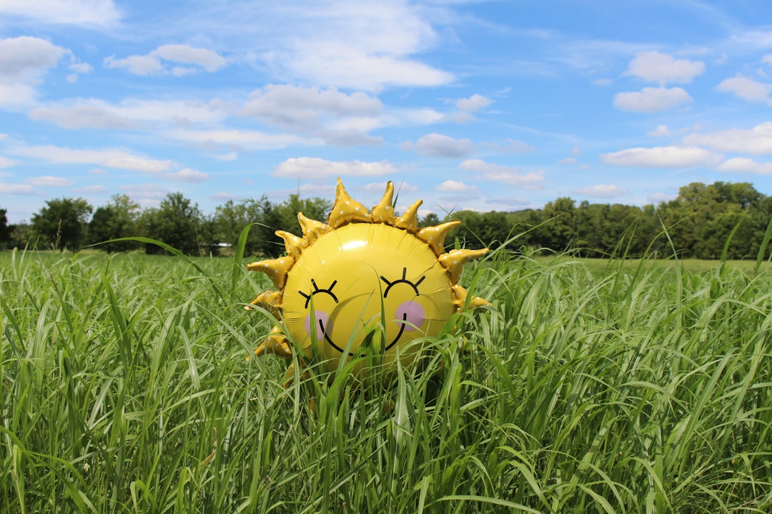 Sunshine.