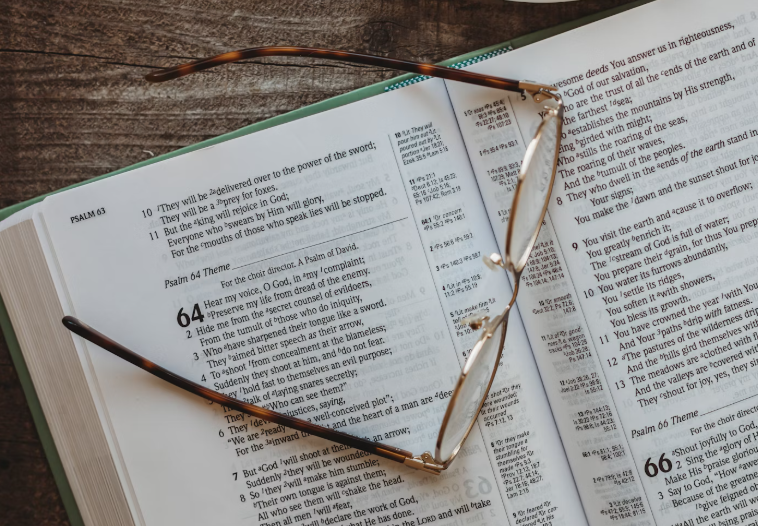 논술전형 관련 사진