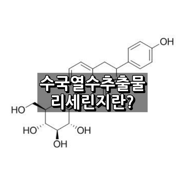 수국열수추출물 리세린지 하이드란제놀