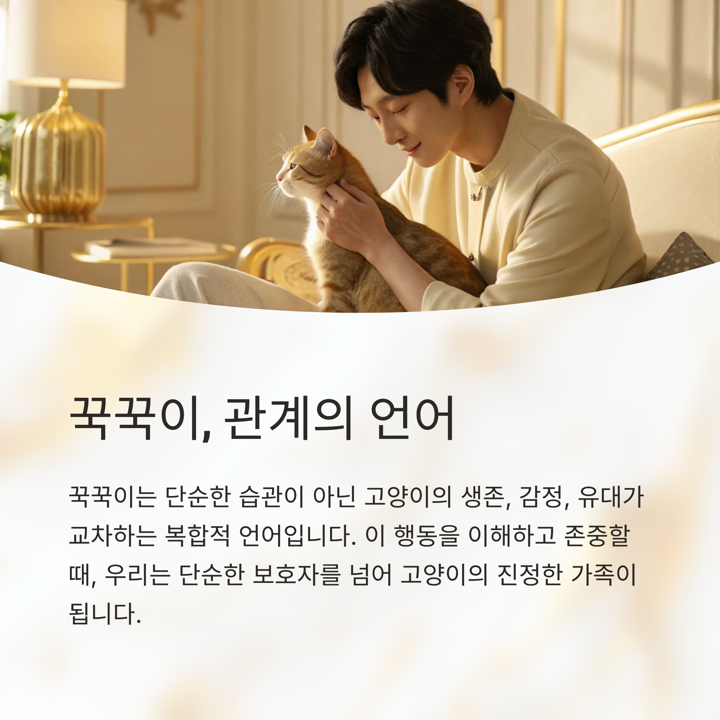 꾹꾹이, 관계의 언어