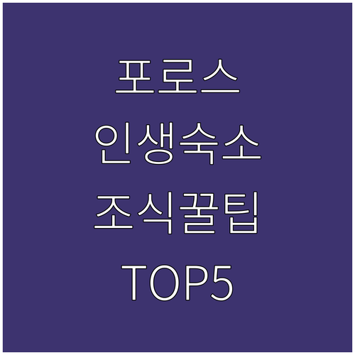 그리스 포로스 자유여행 숙소 추천 5..