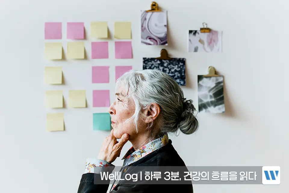 포스파티딜세린 추천 영양제