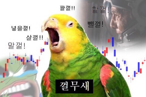앵무새가-그때-살껄-그때-팔껄-외치는-모습