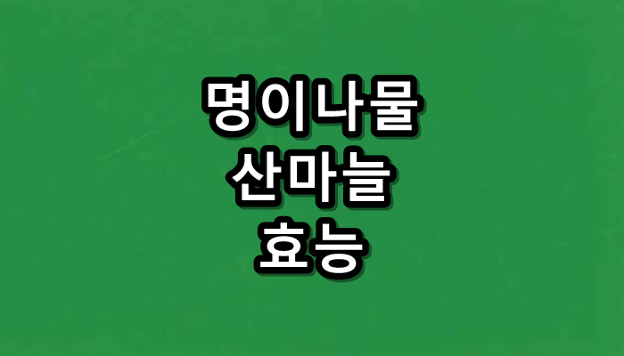 썸네일