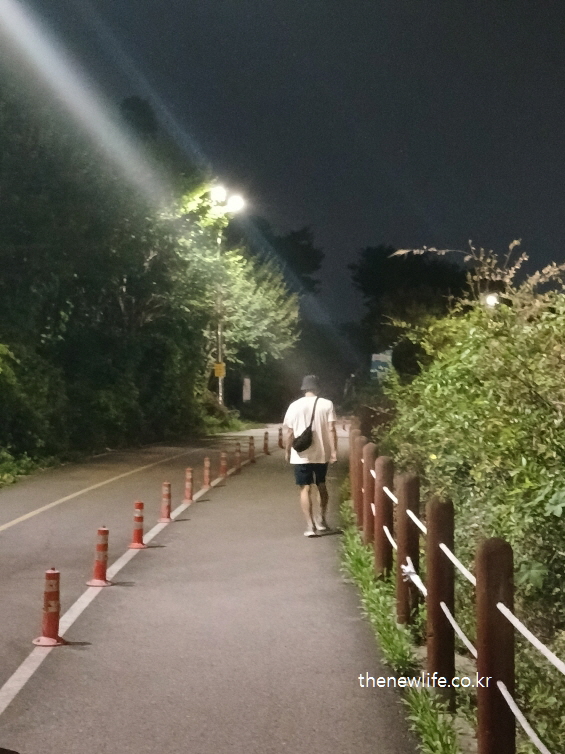 야간 산책로에서 걷기 운동을 하는 사람 &ndash; 올바른 팔 동작 방법과 리듬