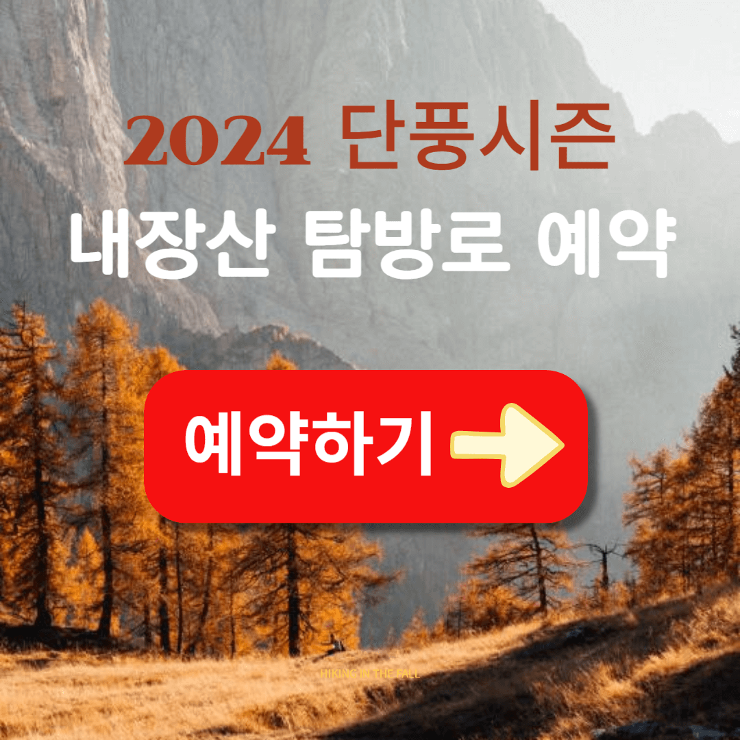 내장산 갓바위 서래봉 탐방로 예약