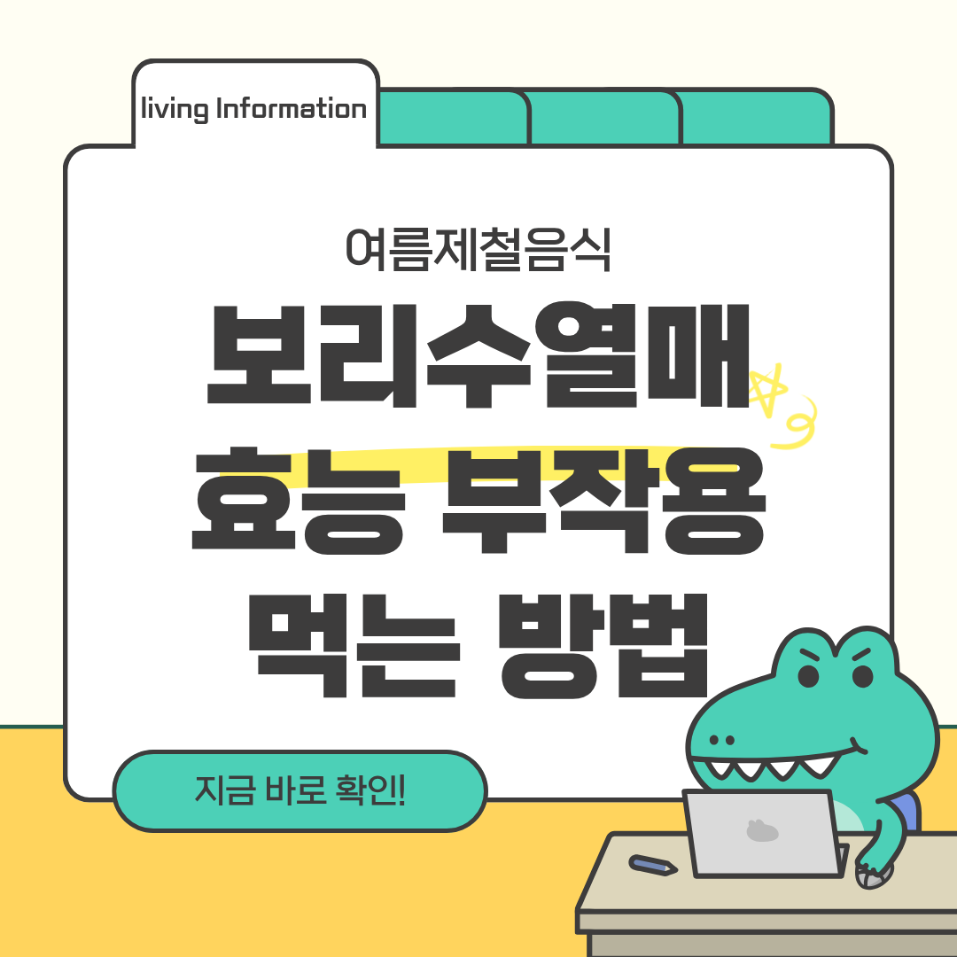 보리수 열매 효능 부작용 먹는 방법 총정리
