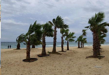 여름휴가 인기 좋은 여행지 7곳