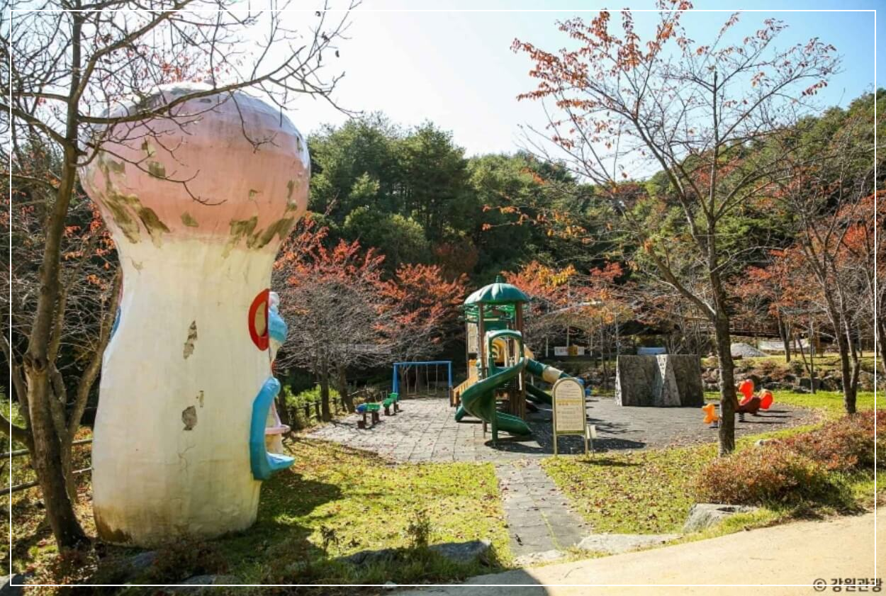 양양 가볼만한곳 베스트10 송이밸리 자연휴양림