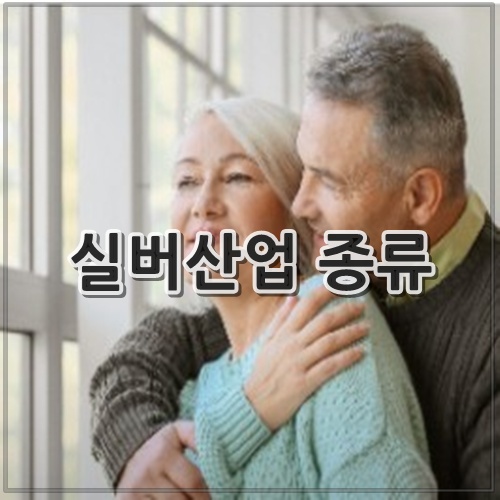 실버산업 종류