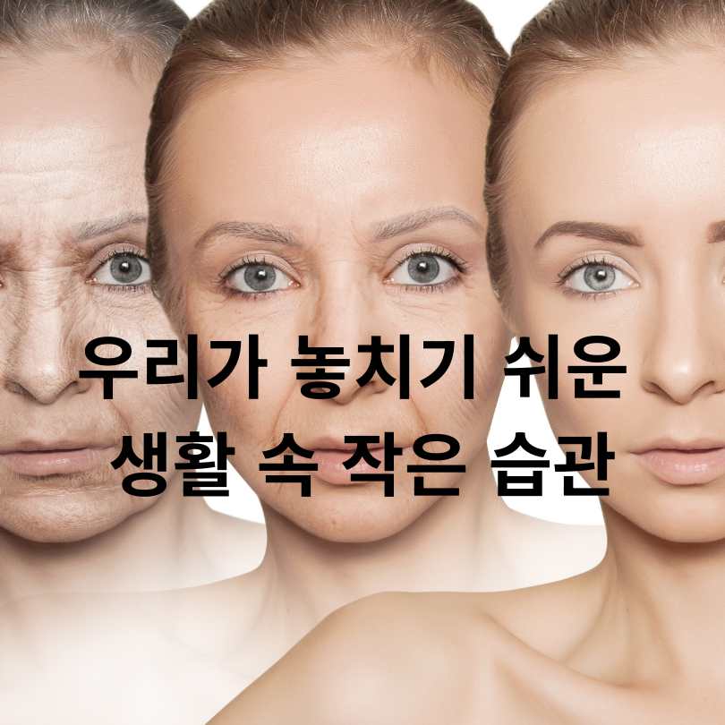 가속노화 원인과 가속노화 예방법 총정리