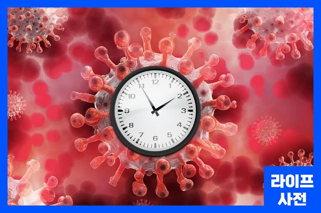 병원 또는 보건소에서 확정 판정을 받은 날이 기준일이며, 기준일부터 7일을 계산