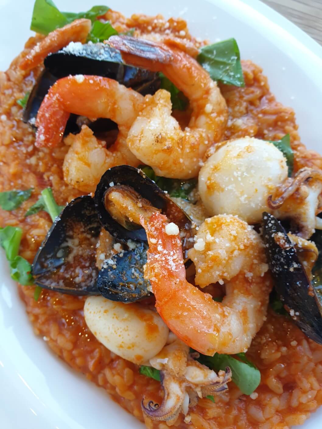 해산물토마토 리조또