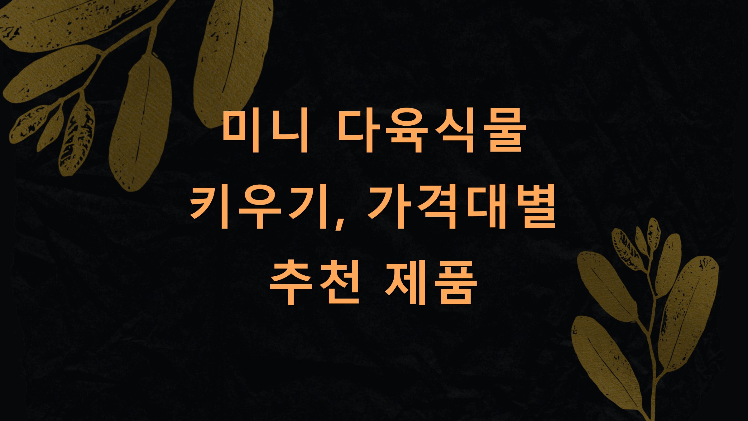 미니 다육식물 키우기, 가격대별 추천 제품