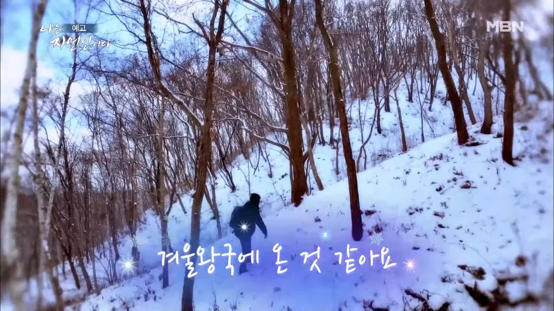 나는 자연인이다 겨울왕국 혹한 자작나무 피톤치드 닭개장 동치미 국수 자연인 김명기 소개 및 이승윤 출연 536회 다시보기